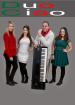 HOCHZEIT PARTY MUSIK ITALIENISCH DEUTSCH DUO LIVE MUSIK
